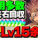 【過去最難関】宿儺でLV15を10分台攻略！簡単パズル&代用多数！これ組めばＯＫです！！魔法石ゲット【パズドラ】