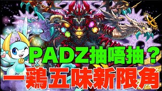 【PADZ】5色最強屬性武裝任揀!! 今年最後5石限角抽唔抽？命天龍+死天龍免費升級、PASS免費6連搶先抽~~~【パズドラPAD】