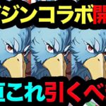 【死んでも見ろ】マガジンコラボ引くべき？◯◯逃したら一生後悔します！絶対今すぐ見ろ！【パズドラ】