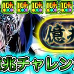 【最強】オメガモン以外でも勝てる！？ 『クロウリー』を使って『新億兆チャレンジ』に挑戦したらやばすぎた！！！！ 【パズドラ ガンホー コラボ ガンコラ】