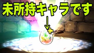 無料で未所持キャラ引いちゃった男【パズドラ】