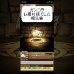 【パズドラ】ガンコラ報告会 #パズドラ #四国めたん