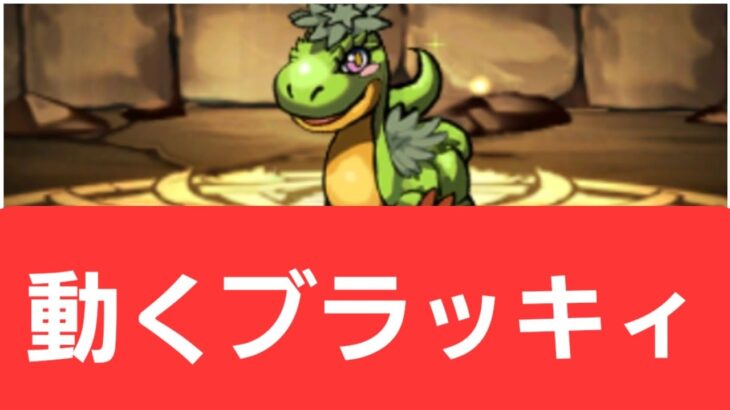 【パズドラ】動くブラッキィが強すぎてヤバい！！【ぶっ壊れ】【最強】【人権】【環境1位】【新百式】【新千手】【新万寿】【新凶兆】