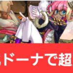 【パズドラ】強化ドーナが強すぎてヤバい！！【ぶっ壊れ】【最強】【人権】【環境1位】【新百式】【新千手】【新万寿】【新凶兆】