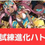 【パズドラ】試練進化ハトホルが強すぎてヤバい！！【ぶっ壊れ】【最強】【人権】【環境1位】【新百式】【新千手】【新万寿】【新凶兆】