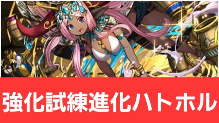 【パズドラ】試練進化ハトホルが強すぎてヤバい！！【ぶっ壊れ】【最強】【人権】【環境1位】【新百式】【新千手】【新万寿】【新凶兆】