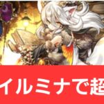 【パズドラ】強化イルミナが強すぎてヤバい！！【ぶっ壊れ】【最強】【人権】【環境1位】【新百式】【新千手】【新万寿】【新凶兆】