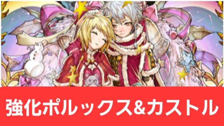 【パズドラ】強化クリスマスポルックス&カストルが強すぎてヤバい！！【ぶっ壊れ】【最強】【人権】【環境1位】【新百式】【新千手】【新万寿】【新凶兆】