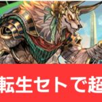 【パズドラ】強化転生セトが強すぎてヤバい！！【ぶっ壊れ】【最強】【人権】【環境1位】【新百式】【新千手】【新万寿】【新凶兆】