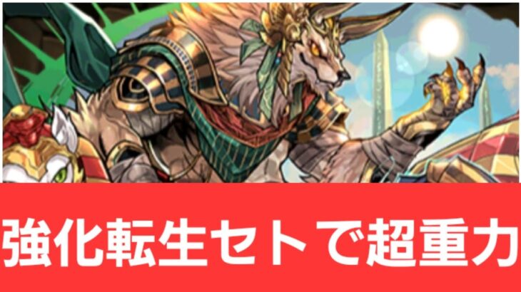 【パズドラ】強化転生セトが強すぎてヤバい！！【ぶっ壊れ】【最強】【人権】【環境1位】【新百式】【新千手】【新万寿】【新凶兆】