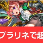 【パズドラ】強化プラリネが強すぎてヤバい！！【ぶっ壊れ】【最強】【人権】【環境1位】【新百式】【新千手】【新万寿】【新凶兆】