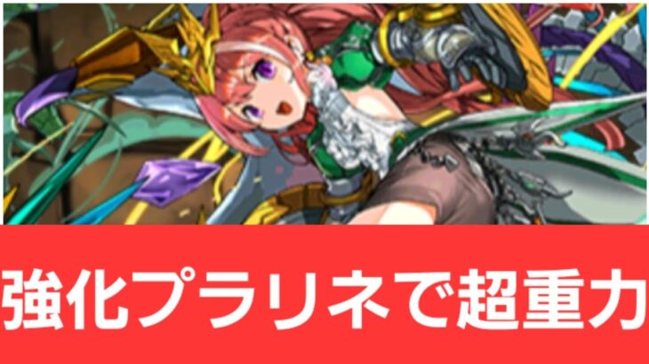 【パズドラ】強化プラリネが強すぎてヤバい！！【ぶっ壊れ】【最強】【人権】【環境1位】【新百式】【新千手】【新万寿】【新凶兆】