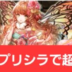 【パズドラ】正月プリシラが強すぎてヤバい！！【ぶっ壊れ】【最強】【人権】【環境1位】【新百式】【新千手】【新万寿】【新凶兆】