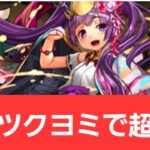 【パズドラ】正月ツクヨミが強すぎてヤバい！！【ぶっ壊れ】【最強】【人権】【環境1位】【新百式】【新千手】【新万寿】【新凶兆】