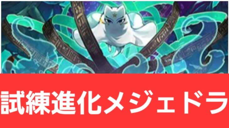 【パズドラ】強化試練進化メジェドラが強すぎてヤバい！！【ぶっ壊れ】【最強】【人権】【環境1位】【新百式】【新千手】【新万寿】【新凶兆】