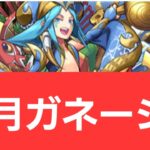 【パズドラ】正月ガネーシャが強すぎてヤバい！！【ぶっ壊れ】【最強】【人権】【環境1位】【新百式】【新千手】【新万寿】【新凶兆】