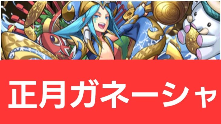 【パズドラ】正月ガネーシャが強すぎてヤバい！！【ぶっ壊れ】【最強】【人権】【環境1位】【新百式】【新千手】【新万寿】【新凶兆】