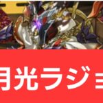 【パズドラ】正月光ラジョアが強すぎてヤバい！！【ぶっ壊れ】【最強】【人権】【環境1位】【新百式】【新千手】【新万寿】【新凶兆】