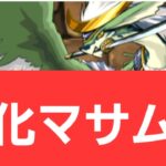 【パズドラ】マサムネが強すぎてヤバい！！【ぶっ壊れ】【最強】【人権】【環境1位】【新百式】【新千手】【新万寿】【新凶兆】