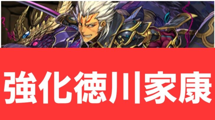 【パズドラ】徳川家康が強すぎてヤバい！！【ぶっ壊れ】【最強】【人権】【環境1位】【新百式】【新千手】【新万寿】【新凶兆】