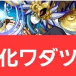 【パズドラ】ワダツミが強すぎてヤバい！！【ぶっ壊れ】【最強】【人権】【環境1位】【新百式】【新千手】【新万寿】【新凶兆】