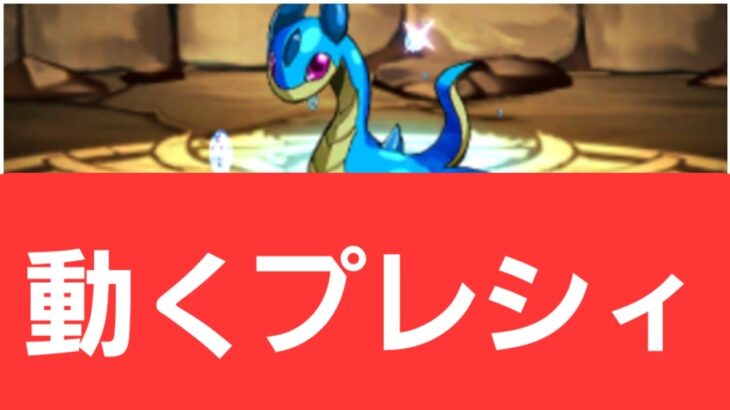 【パズドラ】動くプレシィが強すぎてヤバい！！【ぶっ壊れ】【最強】【人権】【環境1位】【新百式】【新千手】【新万寿】【新凶兆】