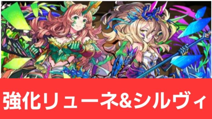 【パズドラ】リューネ&シルヴィが強すぎてヤバい！！【ぶっ壊れ】【最強】【人権】【環境1位】【新百式】【新千手】【新万寿】【新凶兆】