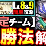 【固定チーム】最も楽な立ち回りがこちら!!1月のクエスト チャレンジLv8 Lv9攻略法を徹底解説!!魔法石をサクっとGETしよう!!【パズドラ】