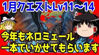 1月チャレダンLv11～14をネロミェールで楽々攻略！【パズドラ】