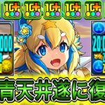 【最強】水属性全員200億解放！？ 上方修正した『正月フェルル』がぶっ壊れすぎて新億兆が余裕すぎる！！！！ 【パズドラ 正月 イベント】