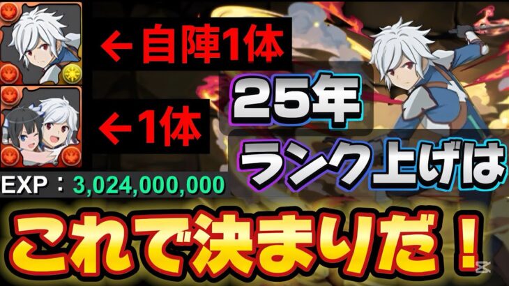 【本日20時から降臨‼️】【🚨組みやすい最新テンプレ‼️】十億ゲリラをベルで快適周回しよう‼️（ベルクラネル、GA文庫、ランク上げ、十億チャレンジ、未知の新星ラッシュ）【パズドラ】