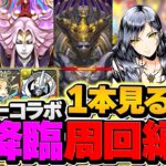 【魔法石35個分】ガンコラ全降臨対応！周回編成5パターン解説！クエスト&ガチャをゲットしよう！【パズドラ】