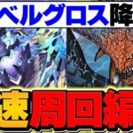 【最難関】イベルグロス降臨をネロで4分台周回！1枚抜きも対応可能！これ組めばOK！【パズドラ】