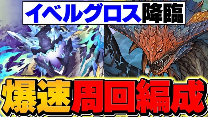 【最難関】イベルグロス降臨をネロで4分台周回！1枚抜きも対応可能！これ組めばOK！【パズドラ】