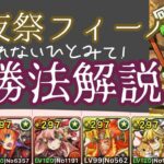 【前夜祭ガチャドラフィーバー】5万点のとり方はこれだ！！解説!!【パズドラ】