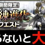 【試練クエスト】ポチポチするだけで魔法石最大56個獲得！百花繚乱1の最強編成を紹介！【パズドラ】