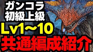 【ガンコラ初級上級共通編成】超低難易度！Lv1〜10をネロミェールずらしのみで爆速報酬回収！ネロミェール共通編成代用＆立ち回り解説！【パズドラ】