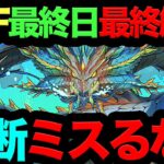 【今すぐ見ろ！】SDF最終解説！◯◯しない人100％後悔します！本日最終日！【パズドラ】