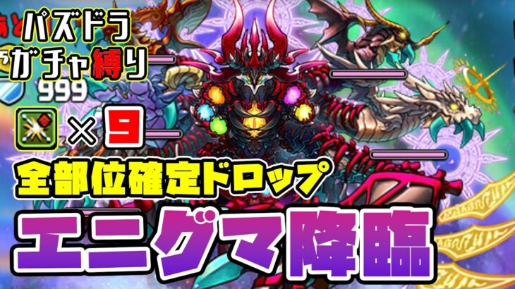 【パズドラガチャ縛り】ガチャ縛りでも全部位確定！エニグマ降臨周回！【ゆっくり実況】part.118