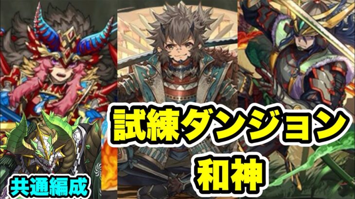 【共通編成】ズラすだけ‼️ 試練ダンジョン 和神 武田信玄・伊達政宗・豊臣秀吉用 正月ノルディス周回編成・立ち回り紹介！！【パズル&ドラゴンズ/#パズドラ】