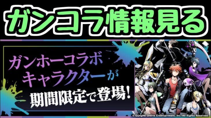 【生放送】ガンコラの情報をチラ見【パズドラ】