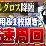 【イベルグロス降臨】オメガモンで安定攻略！進化前後で確保推奨！【パズドラ】