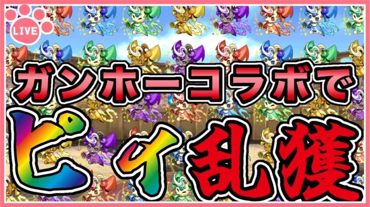 【パズドラ】ガンコラでひたすらピィ集め！【雑談】