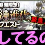 【そりゃ荒れるよ…】新イベント「試練進化クエスト」の内容がとんでもなくて緊急メンテナンス。問題点について正直な感想を話します。【パズドラ】