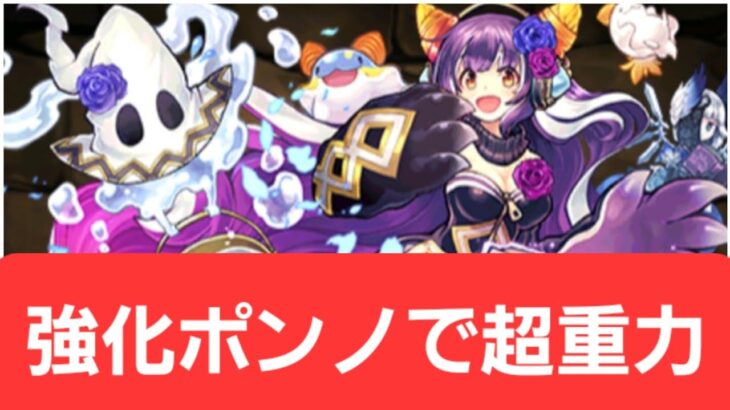 【パズドラ】強化ポンノが強すぎてヤバい！！【ぶっ壊れ】【最強】【人権】【環境1位】【新百式】【新千手】【新万寿】【新凶兆】