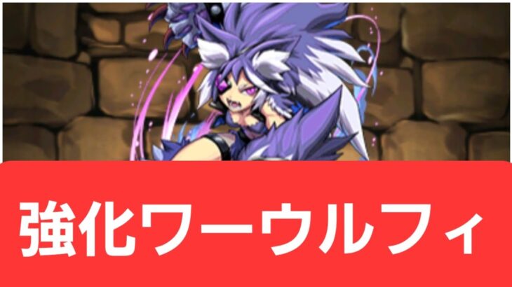 【パズドラ】強化ワーウルフィが強すぎてヤバい！！【ぶっ壊れ】【最強】【人権】【環境1位】【新百式】【新千手】【新万寿】【新凶兆】