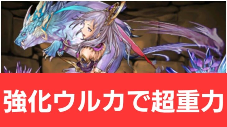 【パズドラ】強化ウルカが強すぎてヤバい！！【ぶっ壊れ】【最強】【人権】【環境1位】【新百式】【新千手】【新万寿】【新凶兆】