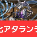 【パズドラ】強化アタランテーが強すぎてヤバい！！【ぶっ壊れ】【最強】【人権】【環境1位】【新百式】【新千手】【新万寿】【新凶兆】