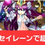 【パズドラ】強化セイレーンが強すぎてヤバい！！【ぶっ壊れ】【最強】【人権】【環境1位】【新百式】【新千手】【新万寿】【新凶兆】