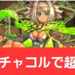 【パズドラ】強化チャコルが強すぎてヤバい！！【ぶっ壊れ】【最強】【人権】【環境1位】【新百式】【新千手】【新万寿】【新凶兆】